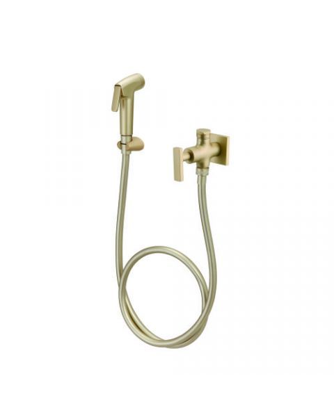 DUCHA HIGIENICA 1860 35 C/ DERIVACAO  GATILHO ABS DOURADO MATTE CX