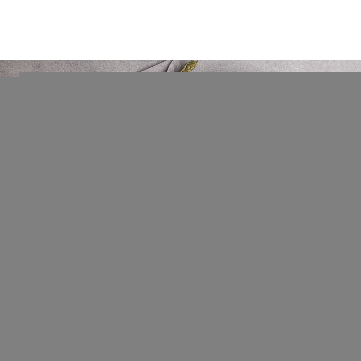 FRIGIDEIRA FERRO 26CM PRE