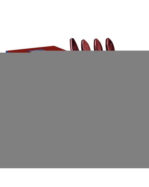 JOGO CHURRASCO INOX 5PC POLYWO VER