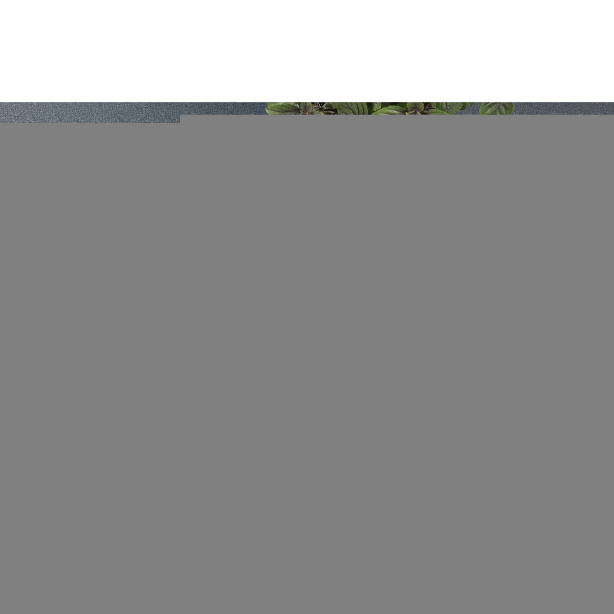 FRIGIDEIRA ALUM 20CM TUNIS ROS