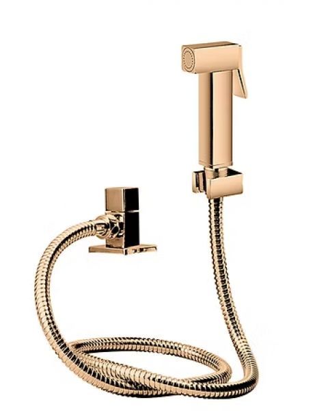 CONJ. DE REGISTRO DUCHA ROSE GOLD- LX1904RG