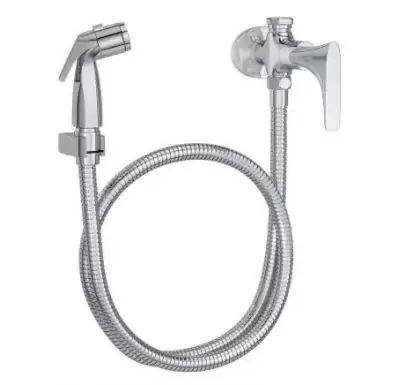 Descubra o Toque de Luxo para Seu Banheiro com a Ducha Cromada Deca 