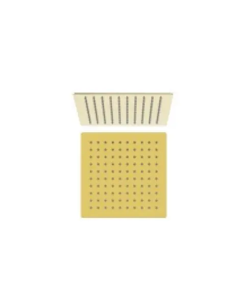Ducha Quadrada 20x20 Gold